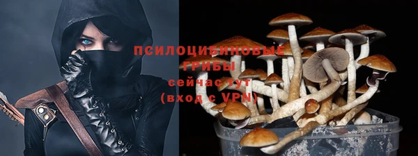 мет Алексин