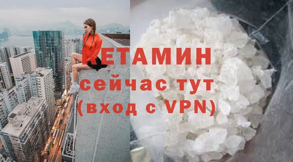мет Алексин