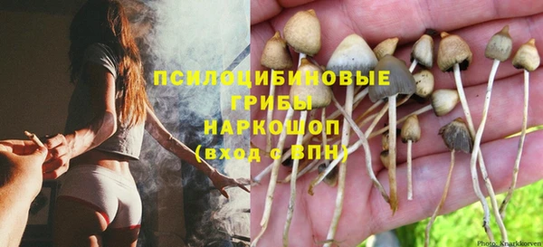 гидра Алзамай