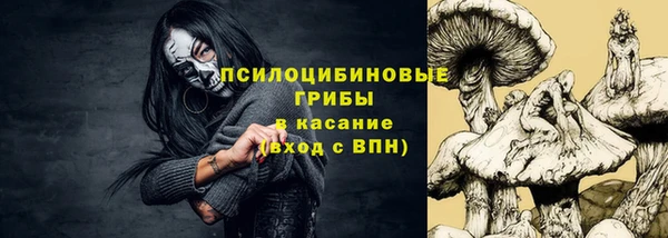 гидра Алзамай
