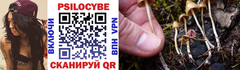 нарко площадка состав  Карасук  Галлюциногенные грибы Psilocybine cubensis 