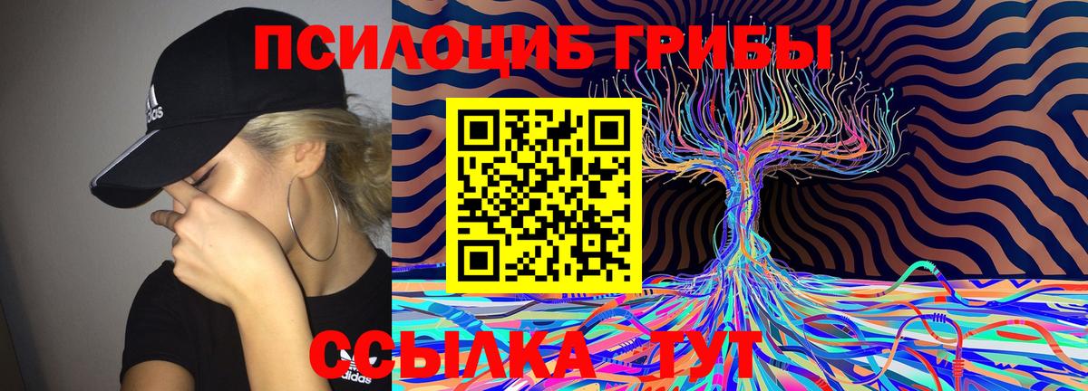Галлюциногенные грибы мицелий  Вход с VPN  Галлюциногенные грибы Psilocybe  Карасук 