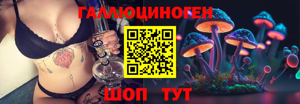Галлюциногенные грибы Cubensis Карасук